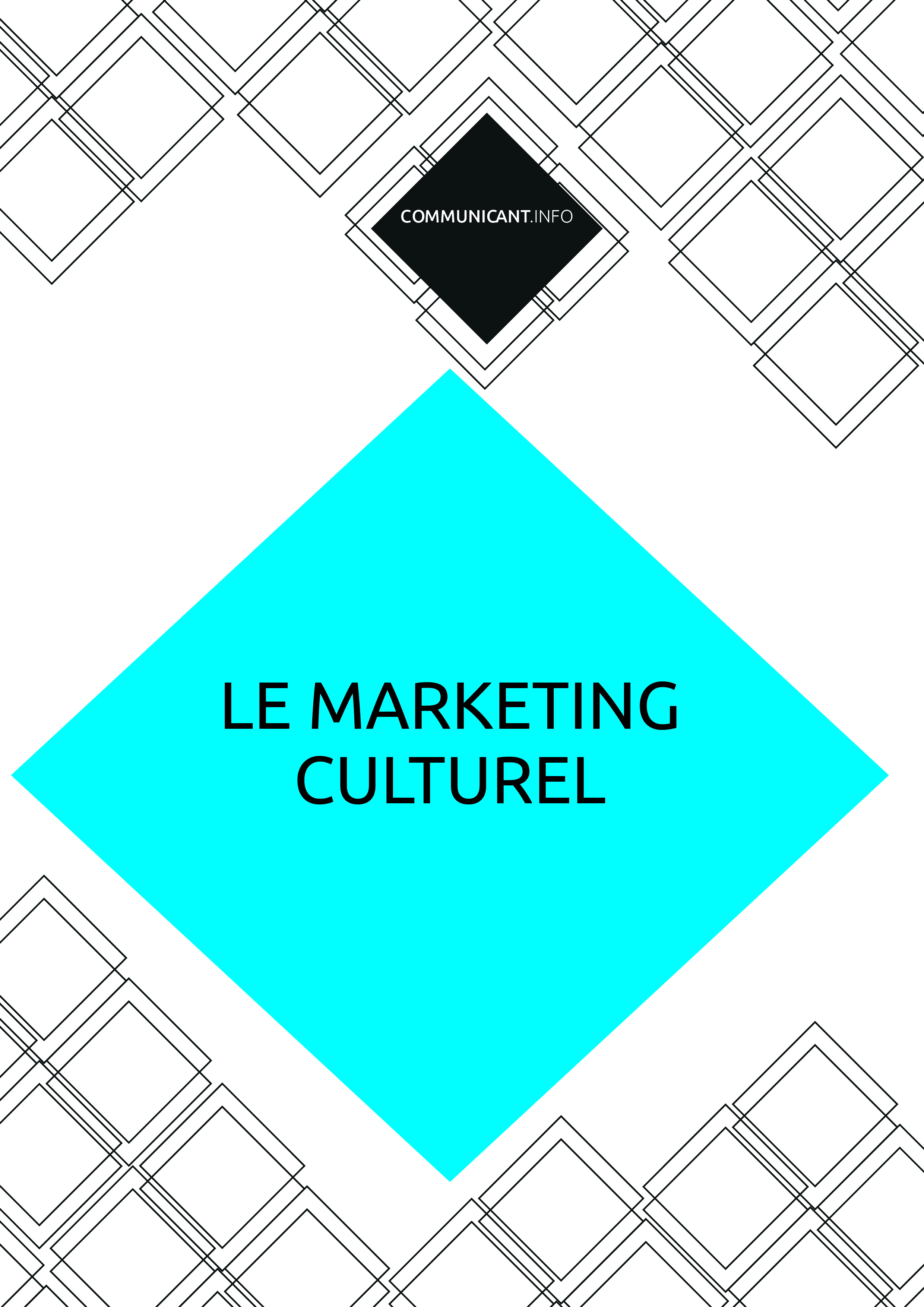 Le Marketing culturel, un livre blanc