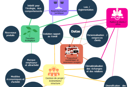 Enquête flash : évolution des compétences dans un contexte de transition numérique