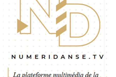 🔓 Café TMNlab : quelles plateformes pour la médiation numérique du spectacle vivant pour le grand public ?