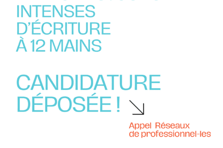 Programme Log in transition : le TMNlab candidat à l’appel européen Réseaux de professionnels