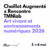 Chaillot Augmenté x Rencontres TMNlab : Art vivant et environnements numériques 2026
