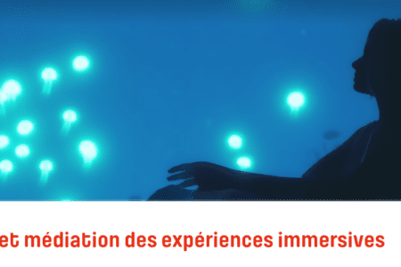 Rencontre professionnelle : Diffusion et médiation des expériences immersives